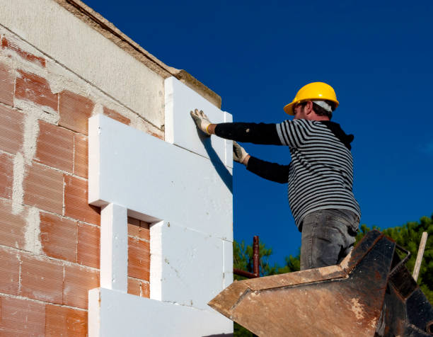 Best Insulation Maintenance and Repair in Las Animas, CO