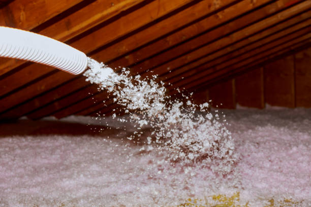 Best Insulation for Specific Applications in Las Animas, CO