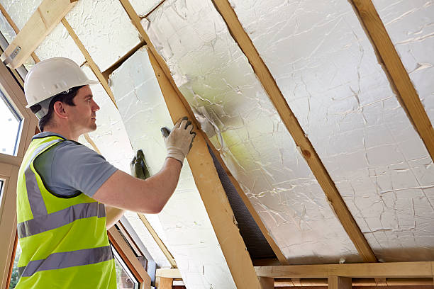 Best Types of Insulation in Las Animas, CO